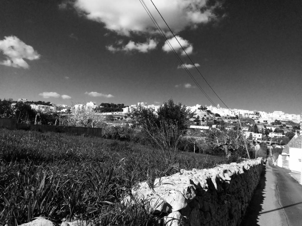 Il Piccolo Trullo ξενώνας Cisternino Δωμάτιο φωτογραφία